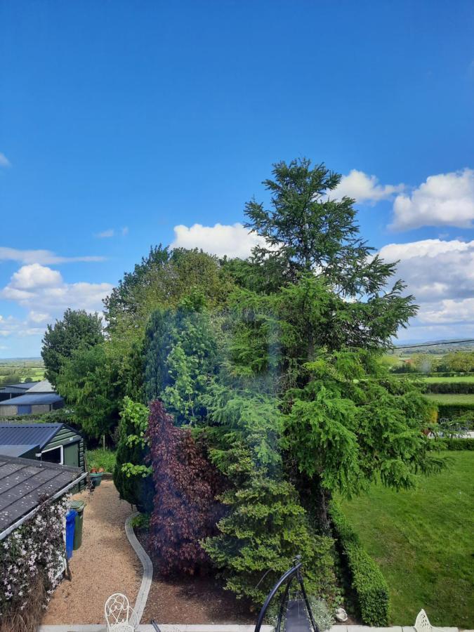 Killenard Self Catering Accommodation Экстерьер фото